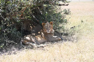 DSC_3555 (Large).JPG